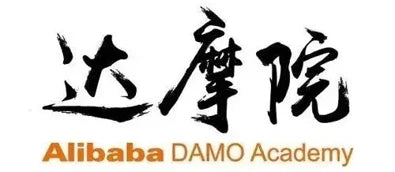 Alibaba DAMO Academy