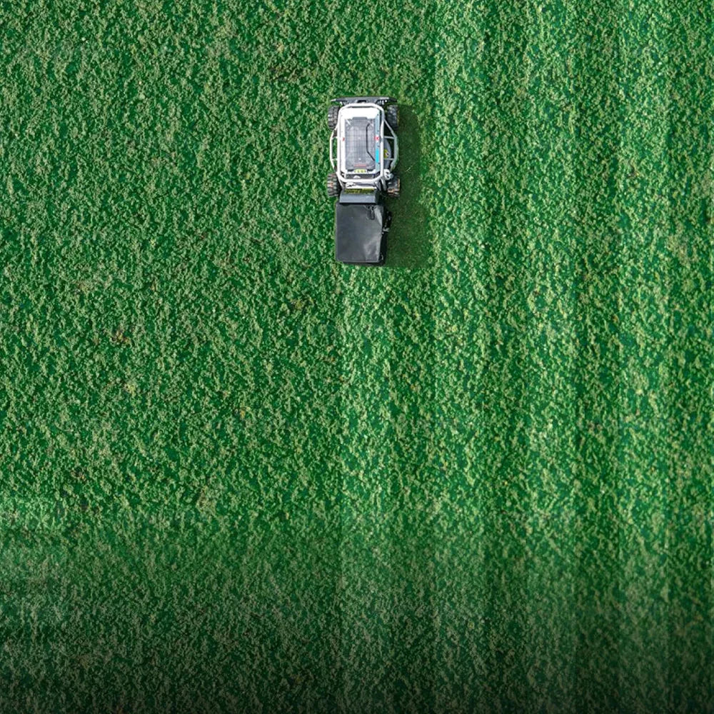Lawn Mower