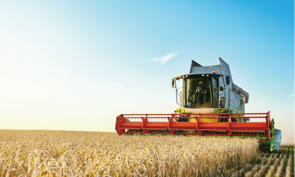 Efficient Harvesting